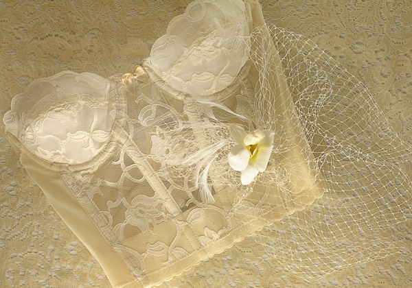 Photograph Pamela Cook Lace Bustier And Birdcage Veil on One Eyeland